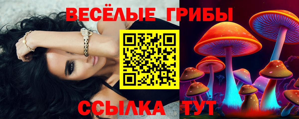 Тара  Псилоцибиновые грибы мухоморы  Вход с VPN 